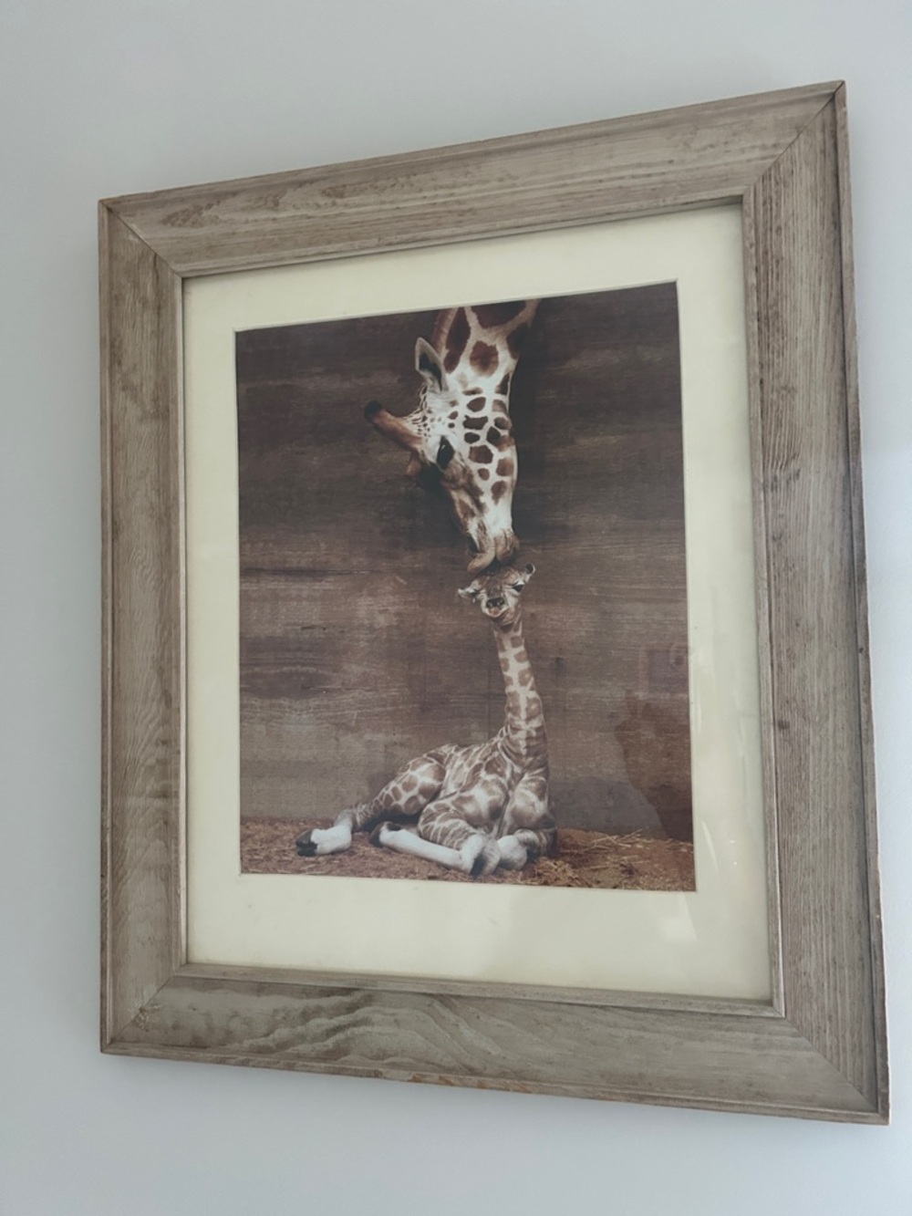 Framed Giraffe Art Print in Rustic Wood Frame - Brown & Cream